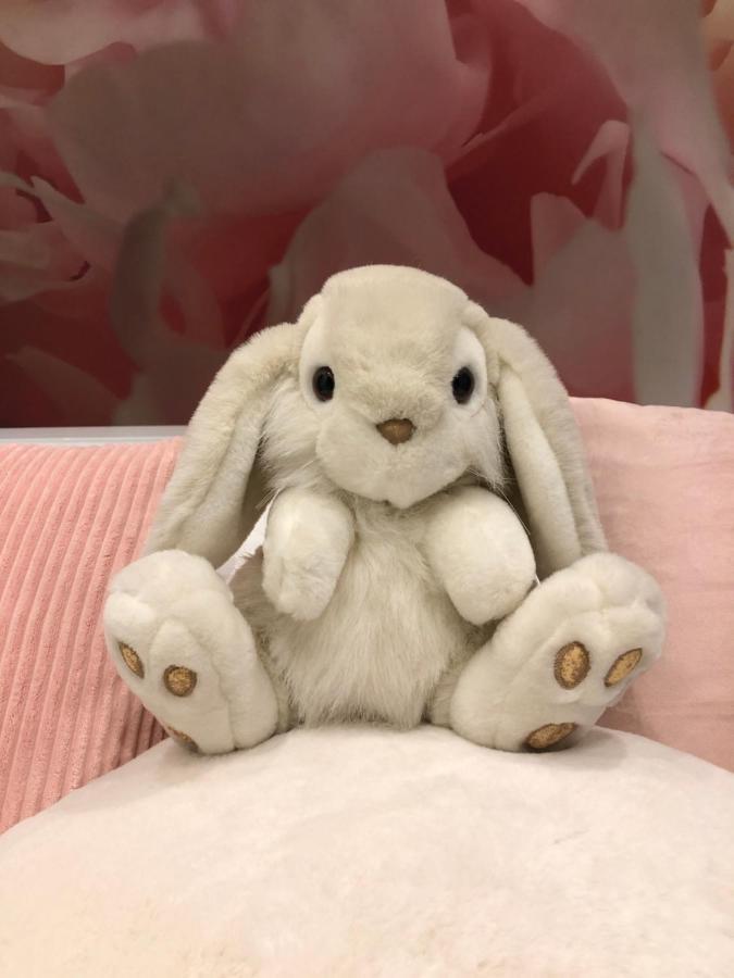 Pan Pan Le Lapin Aubagne-Cassis-Aix En Provence 아파트 외부 사진