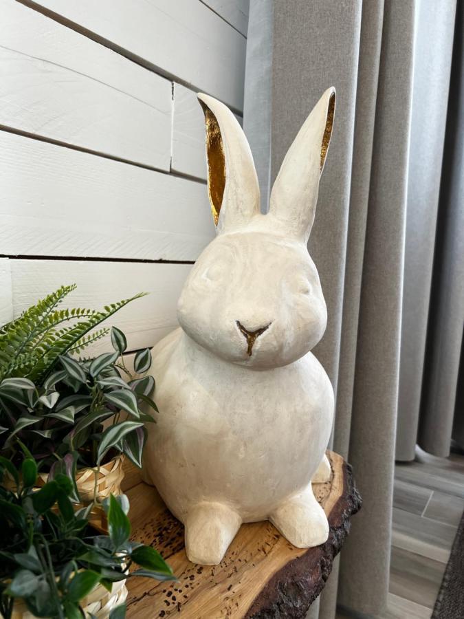Pan Pan Le Lapin Aubagne-Cassis-Aix En Provence 아파트 외부 사진
